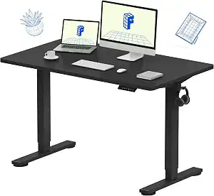 FLEXISPOT EN1 Electric Standing Desk 48"x24