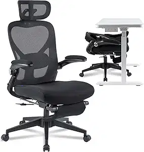 FLEXISPOT Foldex Ergonomic Folding Office Chair