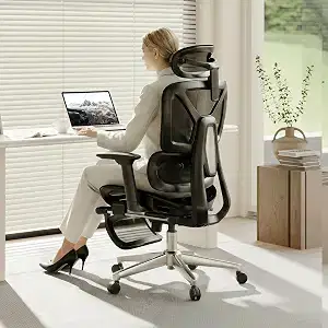 FLEXISPOT ErgoX Ergonomic Office Chair
