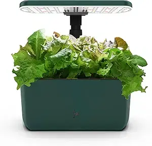 AeroGarden Harvest Lite in Green, Soil-Free Indoor Hydroponic Garden with LED Grow Light for Year-Round Gardening of up to 6 Herbs and Vegetables