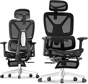 FLEXISPOT ErgoX Ergonomic Office Chair